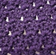 The Primrose Stitch